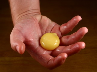 egg yolk in palm of hand.