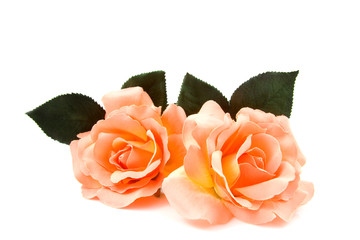 Fototapeta premium Silk orange roses over white background