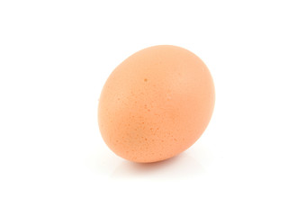 One single egg over white background