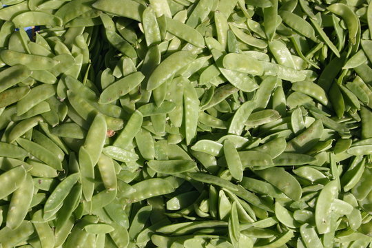 Zuckerschoten - Erbsen
