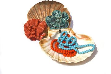 Fototapeta premium Jewelry in the seashell