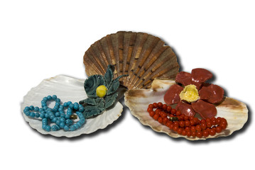 Jewelry in  the seashell