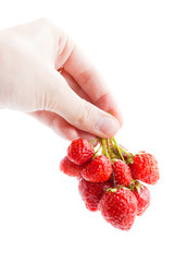 Obraz premium Red strawberry in hand isolated on white
