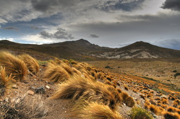 Grassland in patagonia, Agentina - obrazy, fototapety, plakaty