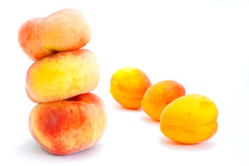 Peaches and apricots isolated on white