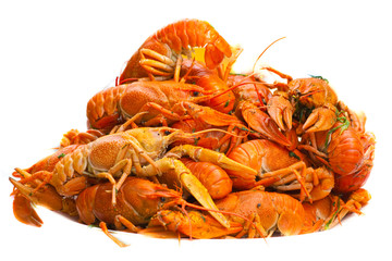 boiled crawfish isolated on white