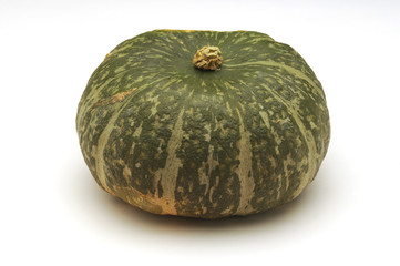 Cucurbita maxima