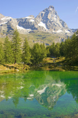 cervino