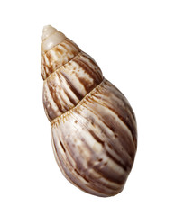sea shell holiday travel