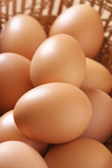 Brown chicken eggs