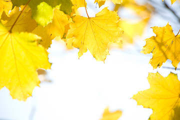 Autumn