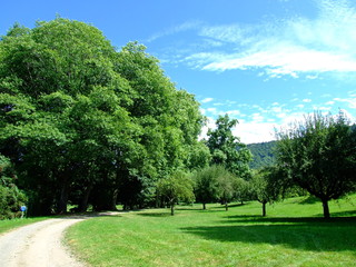 Chateau de Sedaiges