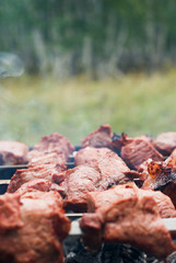 meat on the grill