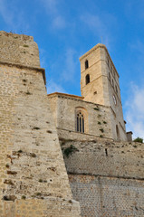 Fototapeta na wymiar Catedral de Eivissa