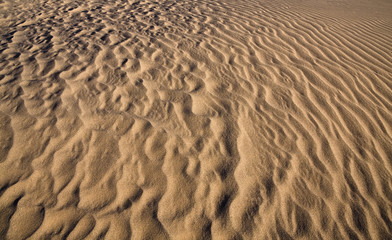 Fototapeta na wymiar Sandy desert texture
