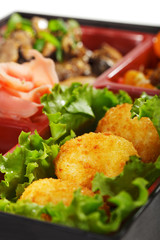 Japanese Cuisine - Bento Lunch