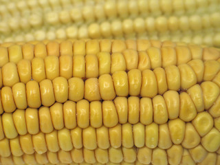 Corns