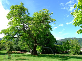 Chateau de Sedaiges