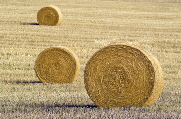 Three hay bales