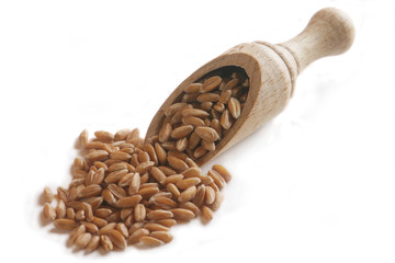 Spelt