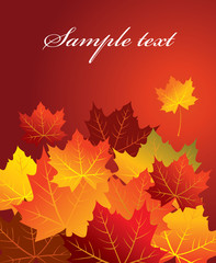 Autumn background, vector