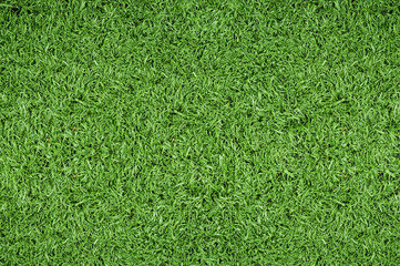 Green grass background of soccer field