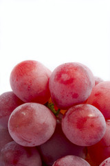 uvas tintas