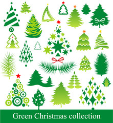 Obraz premium green firs collection