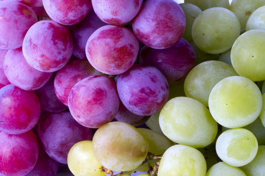 uvas blancas y tintas