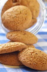 Oatmeal cookies close-up