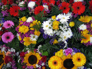 Auf dem Markt - Blumen