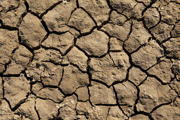 Deep Mud Cracks Background