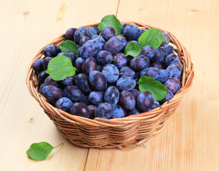Freshly picked damson plums