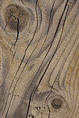 Closeup of Aged Texture background