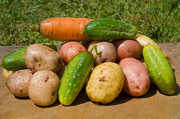 Vegetables 19