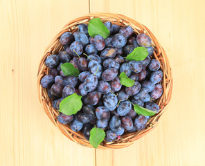 Freshly picked damson plums