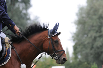 Fototapeta premium Warmlaufen