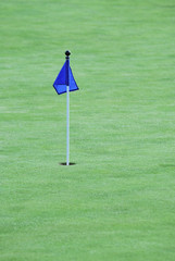 Flag on a golf green