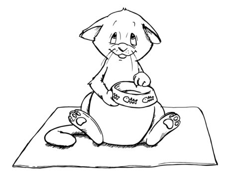 Katze, Kater, K&auml;tzchen, betteln, Hunger