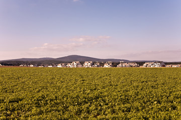 Landschaft mit Feldern und Siedlungen am Horizont