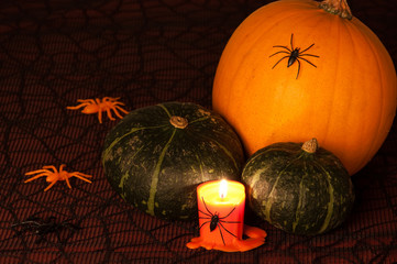 Halloween Pumpkin & Spiders
