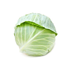 Fototapeta premium cabbage