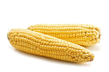 corn