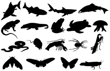 Animal silhouettes