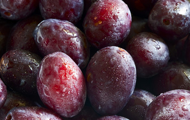 Reife Zwetschgen