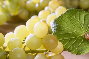 Beautiful green yellow grapefruit macro