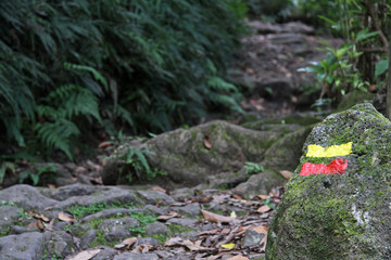 Wanderweg auf den Azoren