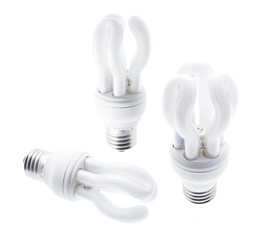 Compact Fluorescent Light Bulbs