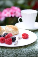himbeeren und brombeeren zum frühstück