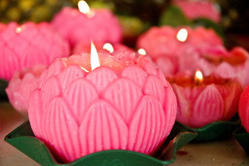 Buddhist Flowers
